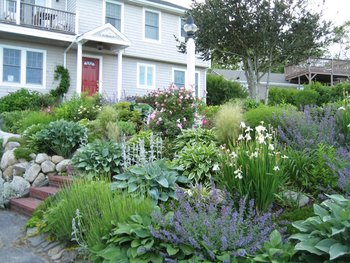 Garden view at Tidewater Inn.