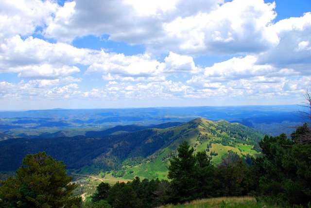 Ruidoso singles