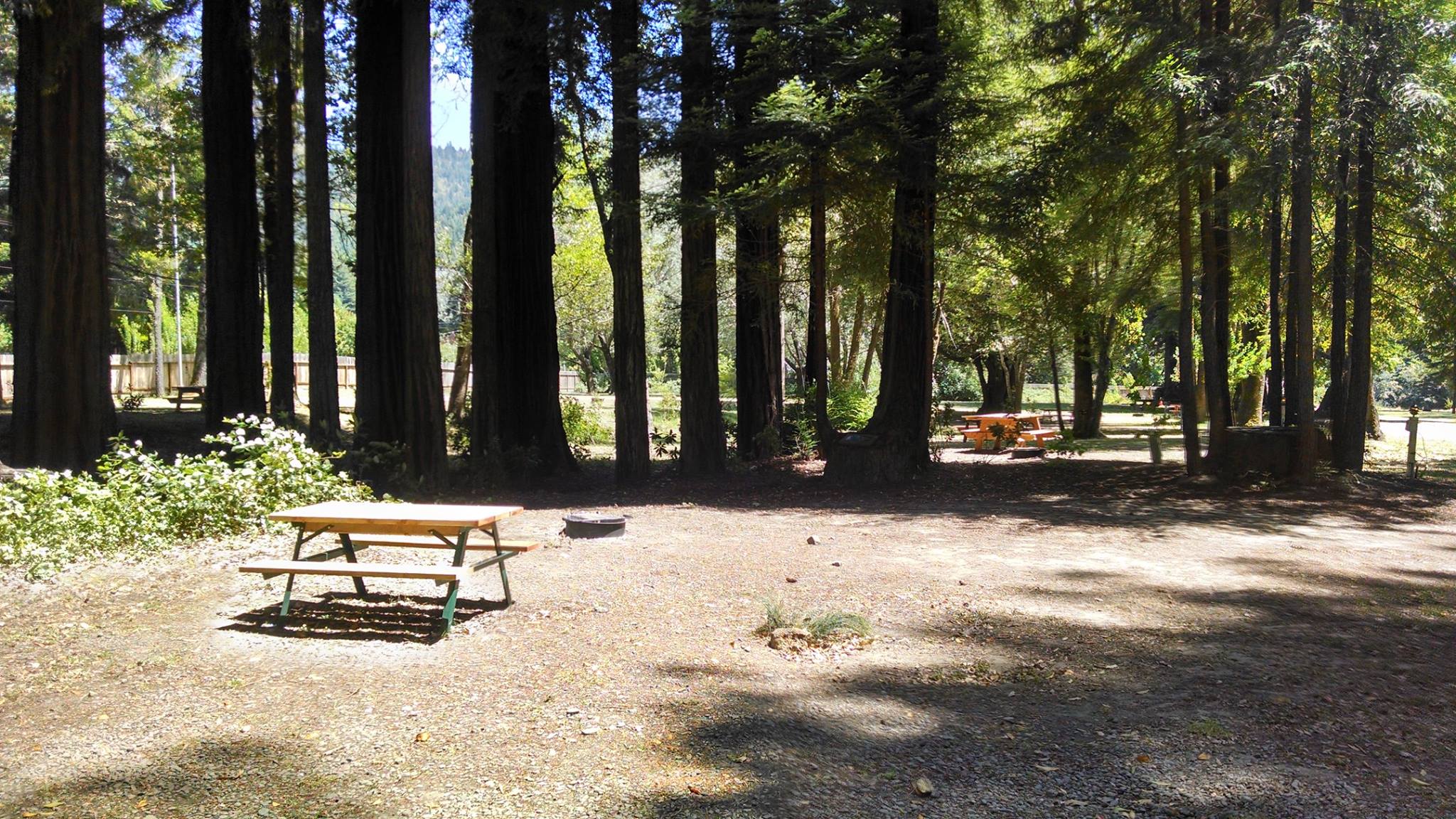 Giant Redwoods RV Park & Camp (Myers Flat, CA) Resort Reviews