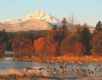 Mountain View With Lake at Black Butte Ranch