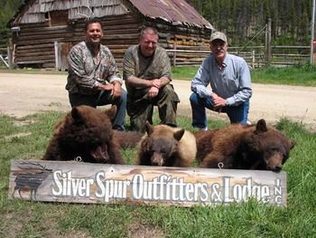 Bear Hunting at Silver Spur Outfitters