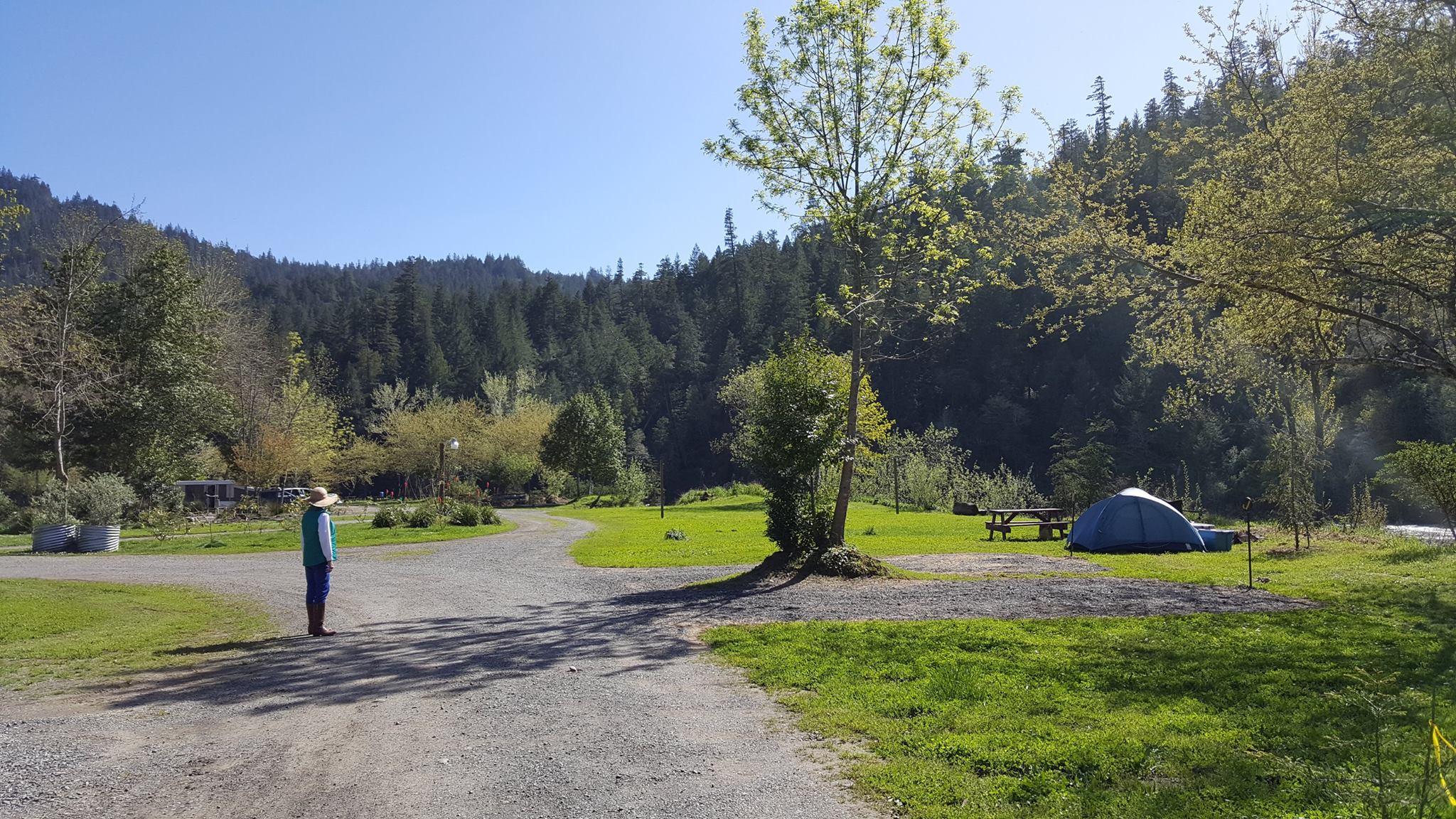 Giant Redwoods RV Park & Camp (Myers Flat, CA) Resort Reviews