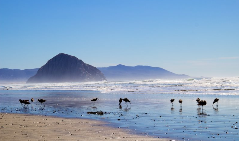 homes for rent morro bay craigslist